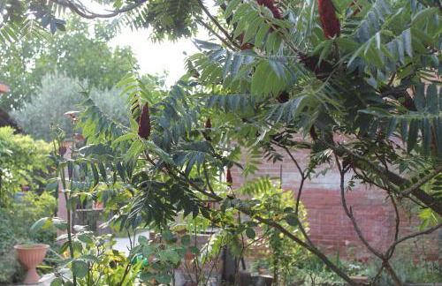 Cascina G appartamento tra i noccioli - Foto 28