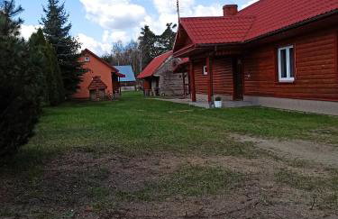 Agroturystyka Leśny Zakątek - Foto 7