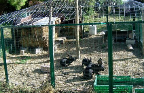 Agriturismo Galanti - Foto 22