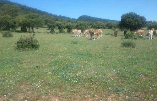 Herranetxe - Foto 30