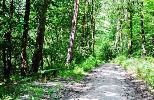 Modrzewiowe Wzgorze - Foto 34