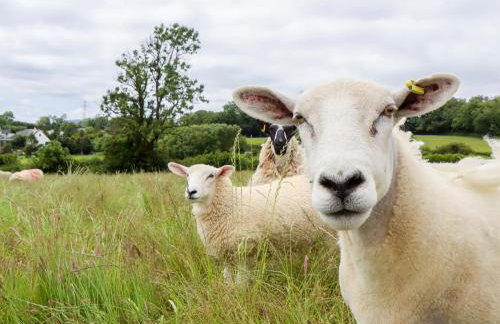 Under Oak Pod - Photo 34