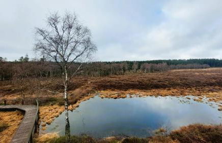 Fewo Silberborn - Weserbergland (Fam. Oehler) - Foto 31