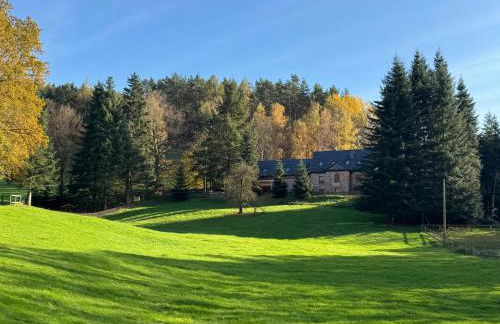 Erholung im Wald - mit Schwimmbad - Foto 32