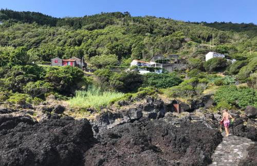 Cantinho dos Cagarros - Photo 18