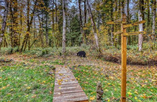 Salmon River Chalet - Meredith Lodging - Foto 48