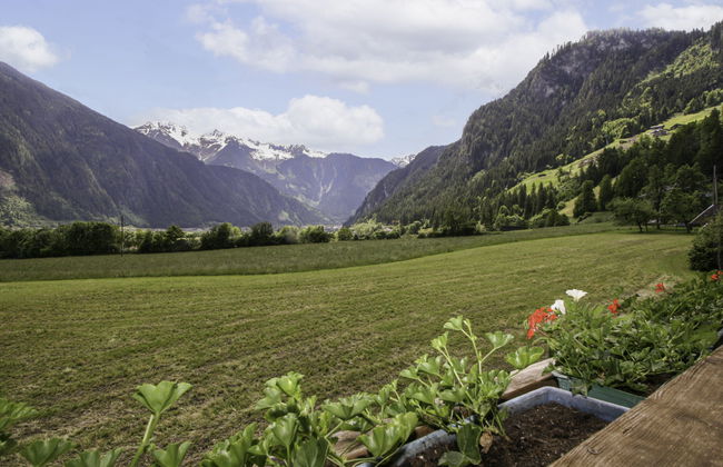 Bauernhaus Schusterhäusl - Photo 6