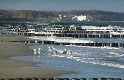 Reethaus Casa Baltica - Foto 39