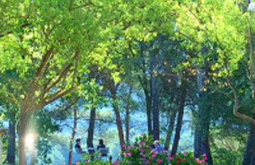 Le Mas Sérénité - Foto 38