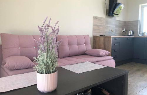 domki pod Jesionem Sławianowo nad jeziorem - Foto 28