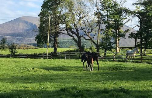 Stone Wall Cottage - Foto 15