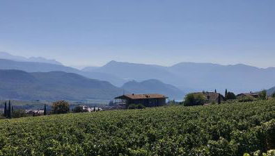 View - AgriSuites - Foto 2