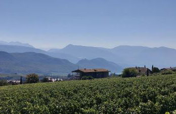 View - AgriSuites - Foto 2