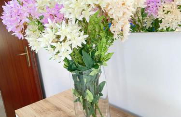 NadSan Case Sparse - Photo 13