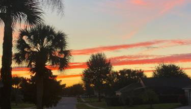 Robin's Nest - Foto 4