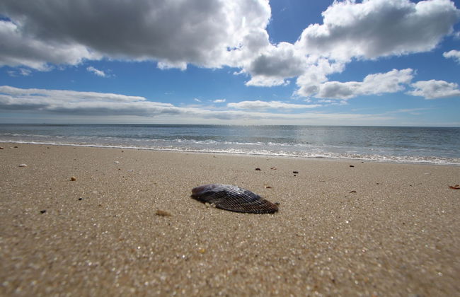 Edgewater Beach Resort, a VRI resort - Photo 36