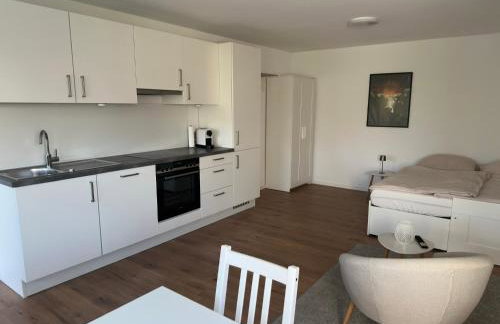 Ferienwohnung in Rheinfelden-Adelhausen - Foto 4