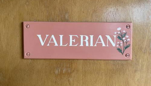 Valerian - Foto 3, Lobby or reception