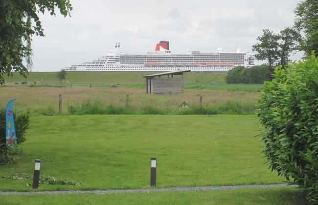 Deichschätzchen - Foto 16