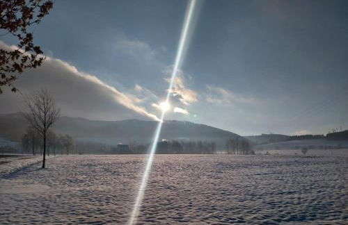 Ferienhaus LENA im Sauerland direkt am Hennesee - Foto 34