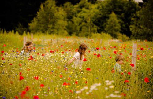 The Garlic Farm - Photo 58