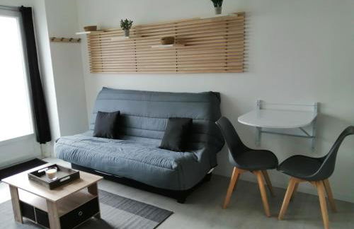 STUDIO NOYANT VILLAGES - Photo 1