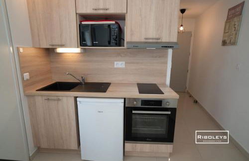 Riboleys -Superbe T1 à 100m de la plage - Foto 5