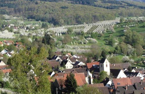 Ferienhaus Am Bauerngarten - Foto 8