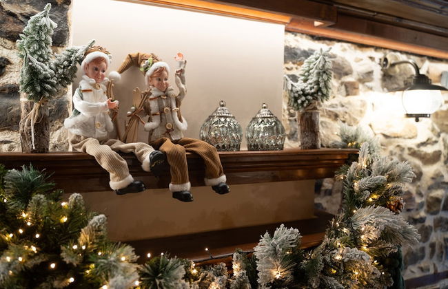 Dandy Villas Metsovo - Foto 16