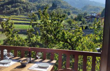 La Vigne de Papagran - Foto 72