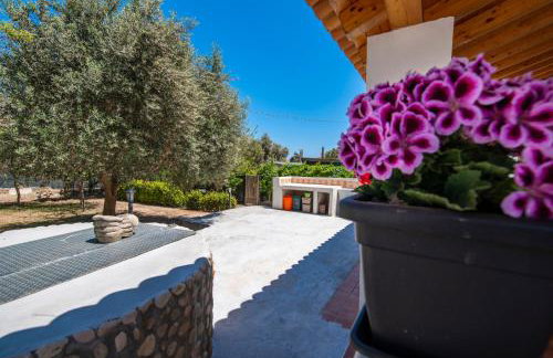 Villa Sasè - SiciliaVacanza - Foto 57