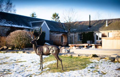 The Eagle's Nest - large house with hot tub and sauna - Foto 11