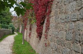 Ferienwohnung Sesslach Altstadt - Foto 57