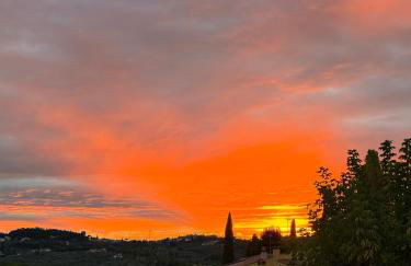 La Limonaia di Vanna - Foto 19