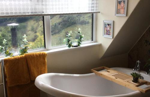 The Lodge - Photo 22