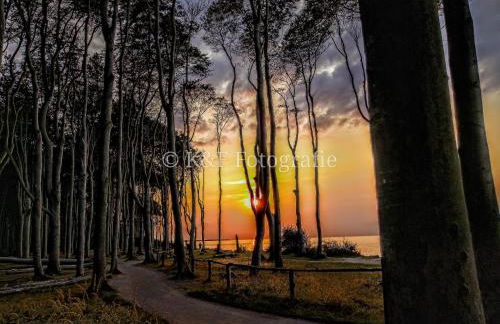 Ostseeblick - Foto 50