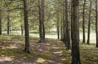 Romantic Cabin w Hot Tub Near Carbondale - Foto 12