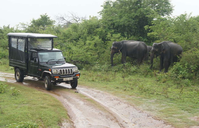 Sri Lanka y Maldivas en 11 días - Foto 1
