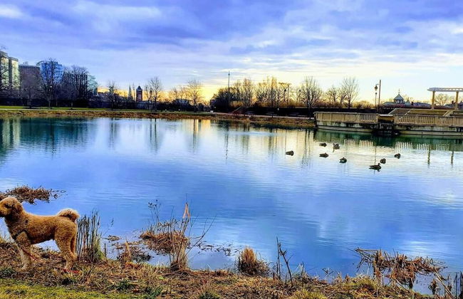 The Penthouse at Park Place King bed Fast Wifi and Free Coffee - Foto 19