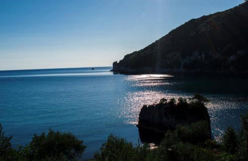 Feel at Home - Photo 30