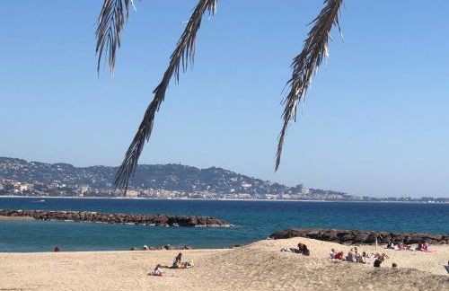 Oasis de verdure en centre-ville - jacuzzi privé - Foto 30