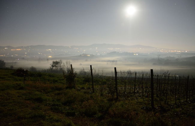 Agriturismo Spazzavento - Photo 44