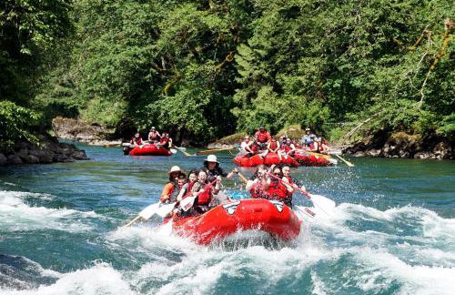 Secluded Forest Cabin with Hot Tub and Private Waterfall - Foto 61