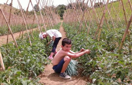 Agriturismo Cignale della Società Agricola Cignale srl - Photo 19