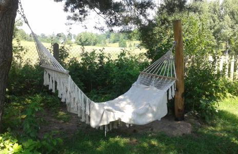 Pod tulipanem nad jeziorem - Foto 34