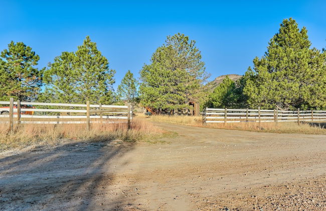 Tree Deer Blind - Foto 21