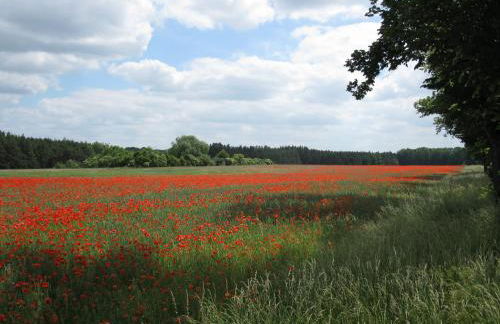 An der Hainmühle - Foto 34
