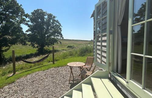 Cosy Devon Hut Woodland Views - Photo 45