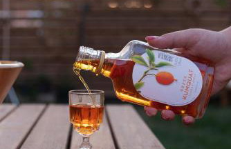 Archontiko ''Danae'' - Foto 23