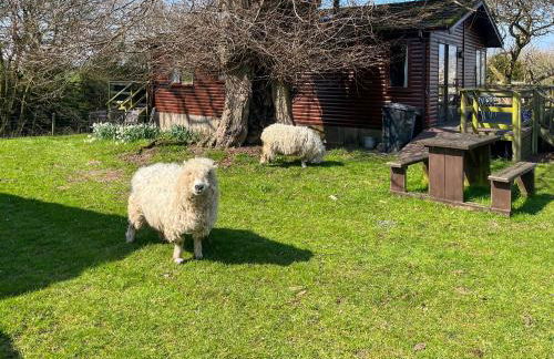 Drumble Lodge - Foto 21